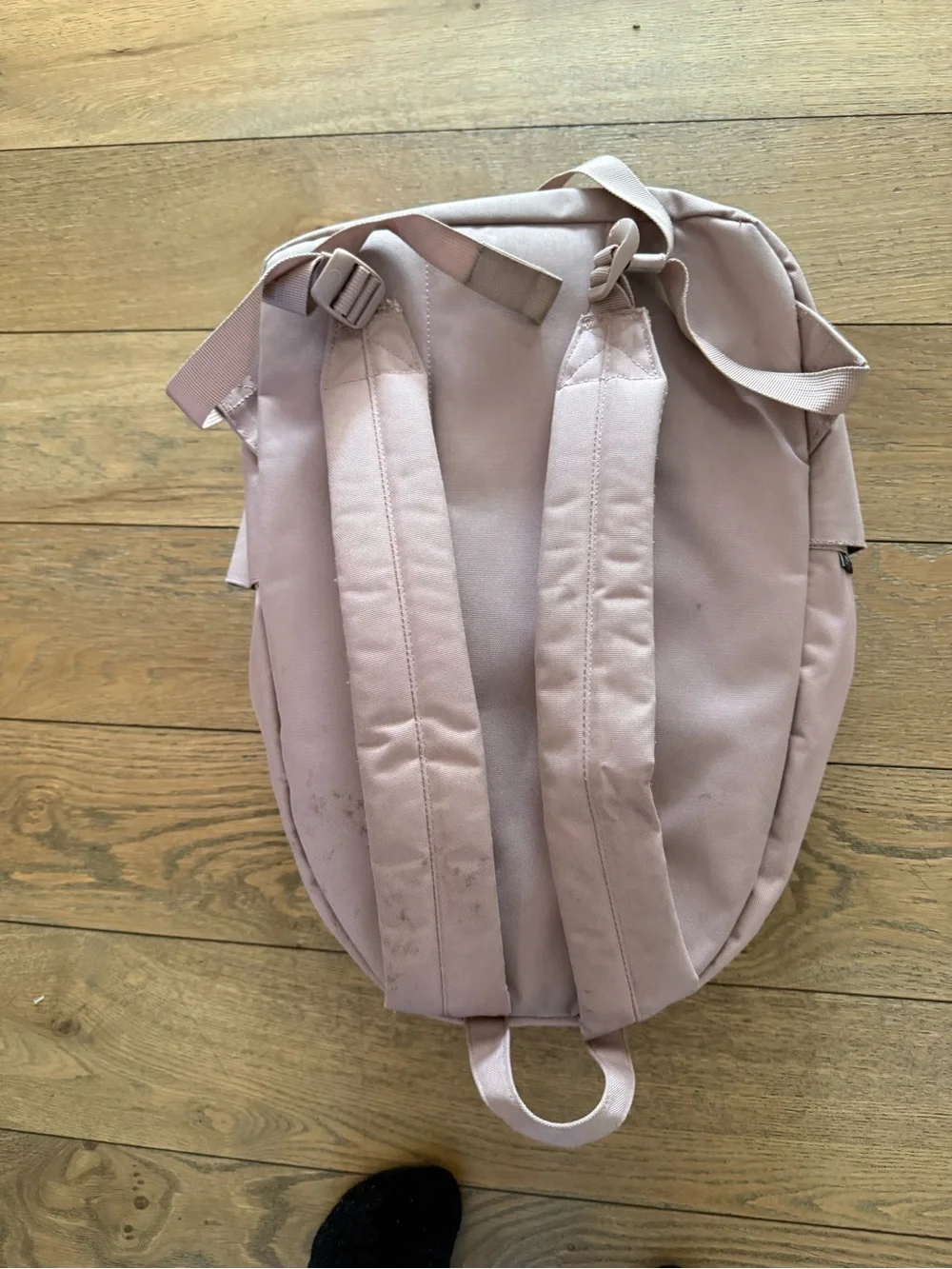 Herschel Supply Company Backpack in Dusty Pink